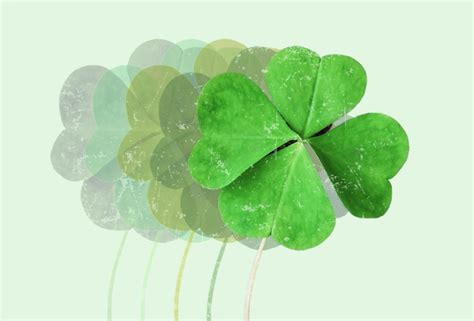 chances of finding a 4 leaf clover|Odds Ratios and St. Patrick's Day: Are .